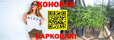 mdpv Краснодар