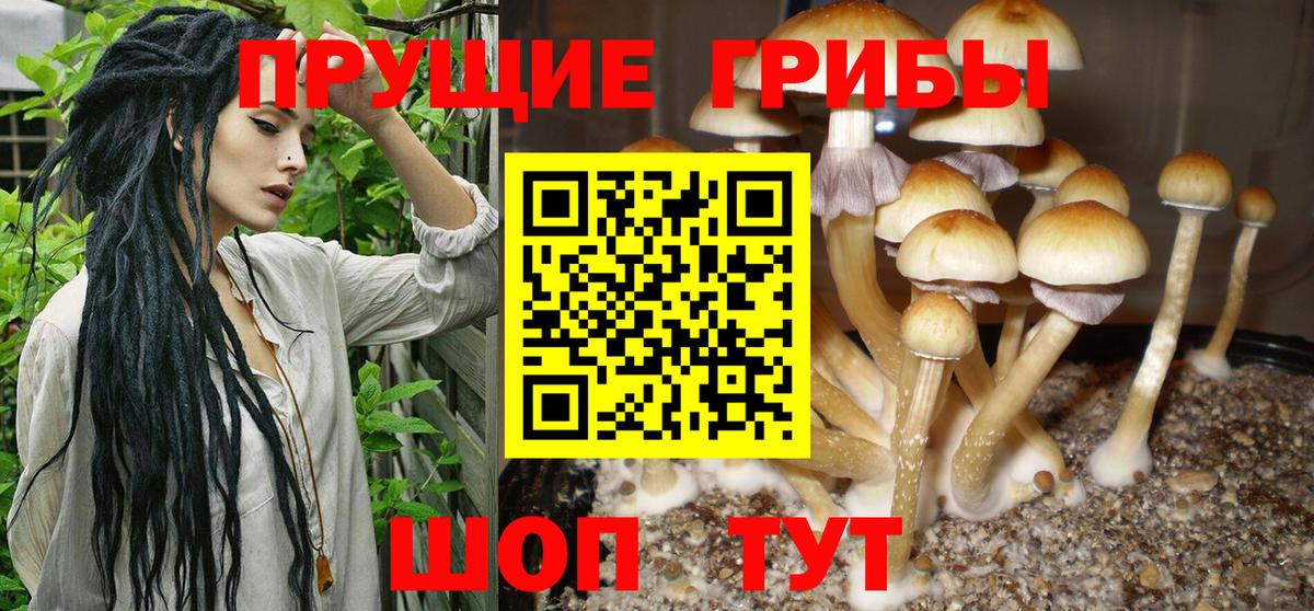 Кировск  Галлюциногенные грибы Magic Shrooms  Псилоцибиновые грибы мухоморы  Вход с VPN 