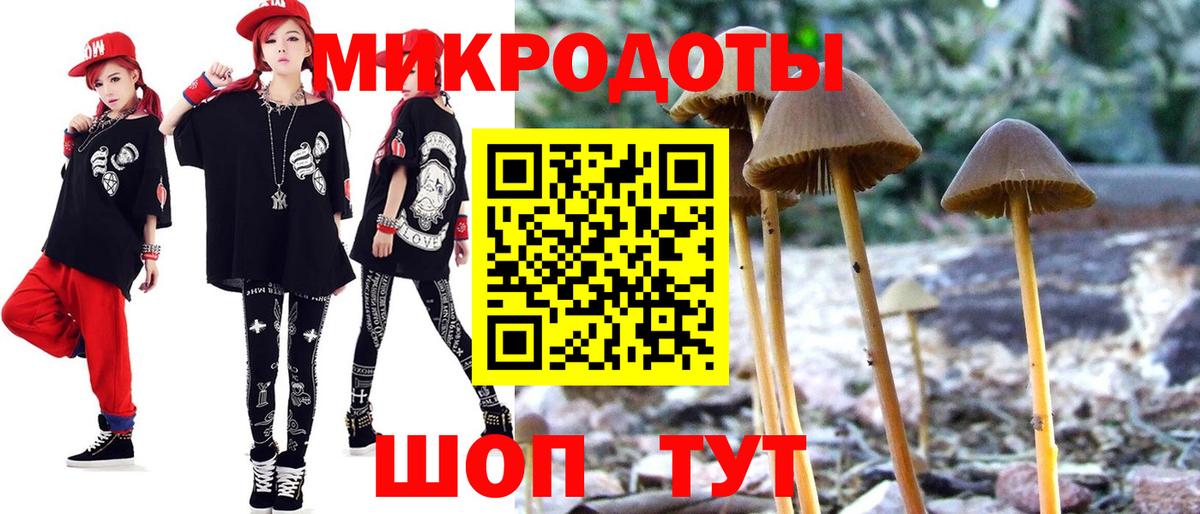 Галлюциногенные грибы Psilocybe Кировск